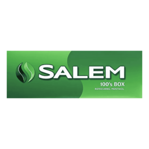 Salem Menthol King 100 Block